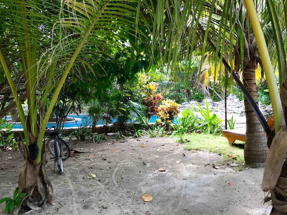 Ambegris Caye Belize yoga studio pool