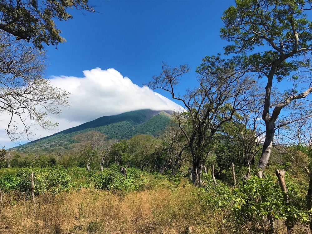 Concepcion volcano - trees and a massive cloud at it's peak