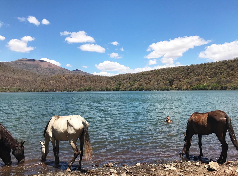 Sapphire &amp; Elm Travel Co-founder, Stephanie swimming with wild horses in Nicaragua