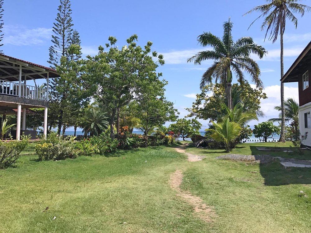 The path from Bocas del Drago beach to starfish beach