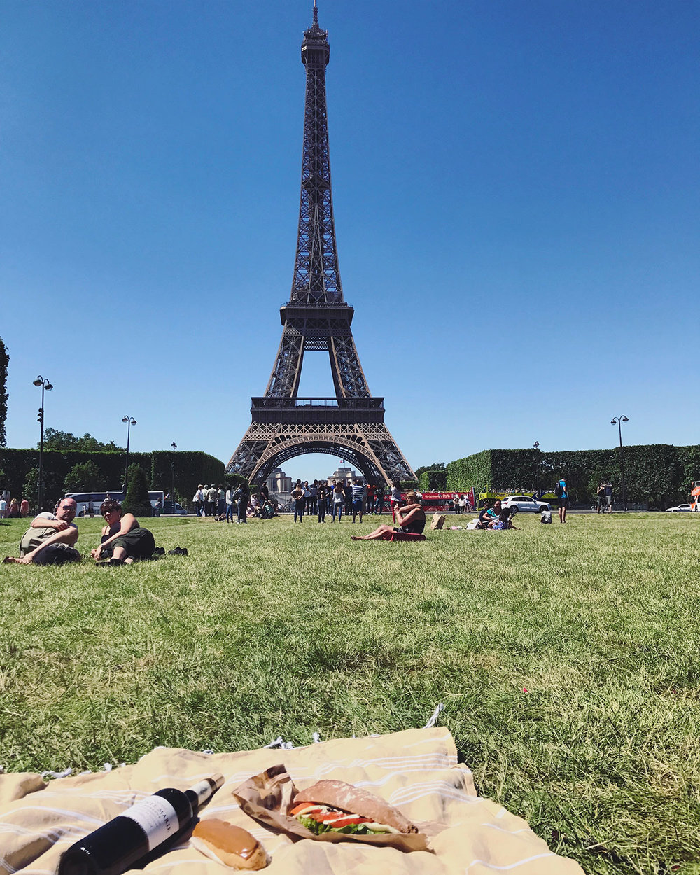 Paris-Picnic-Eiffel-Tower.jpg
