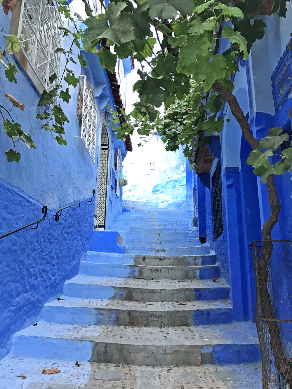 Chefchaouen-Morocco-image-blue-stairs-tree.png