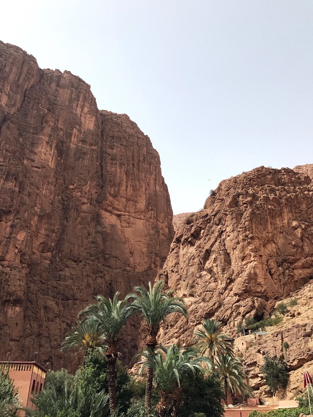 Hiking Morocco | Todra Gorge