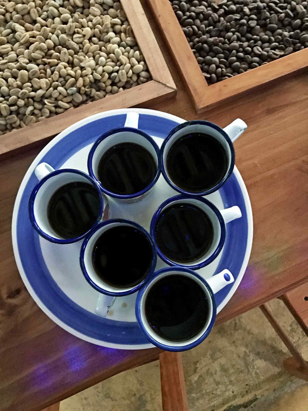 Tasting Coffee in Salento, Colombia