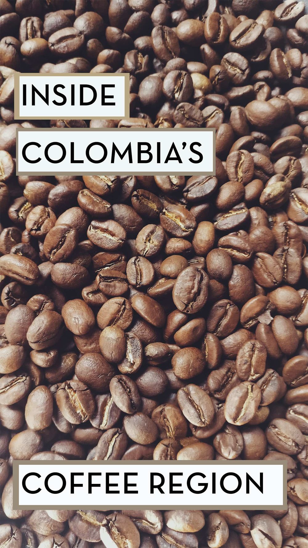 A Taste of Colombia's Rich Coffee Region