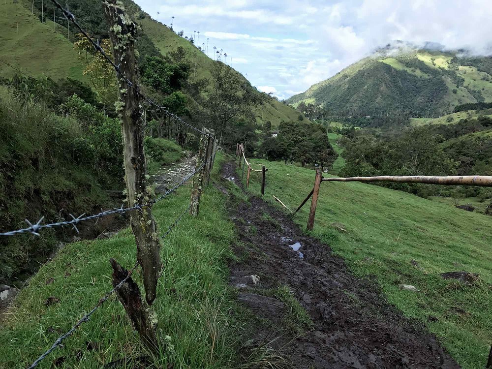 muddy trail | Cocora Valley, Colombia