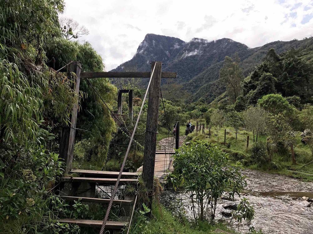 Hiking trail bridge | Cocora Valley, Colombia