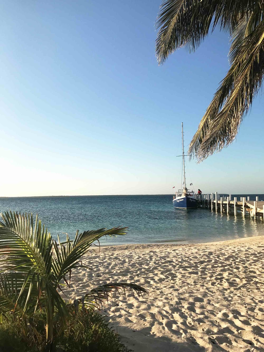 Rendezvous Caye | Sailing in Belize