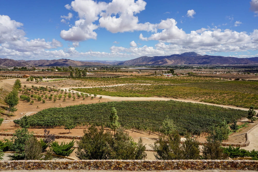 Views from Las Nubes Winery, Valle de Guadalupe, Mexico