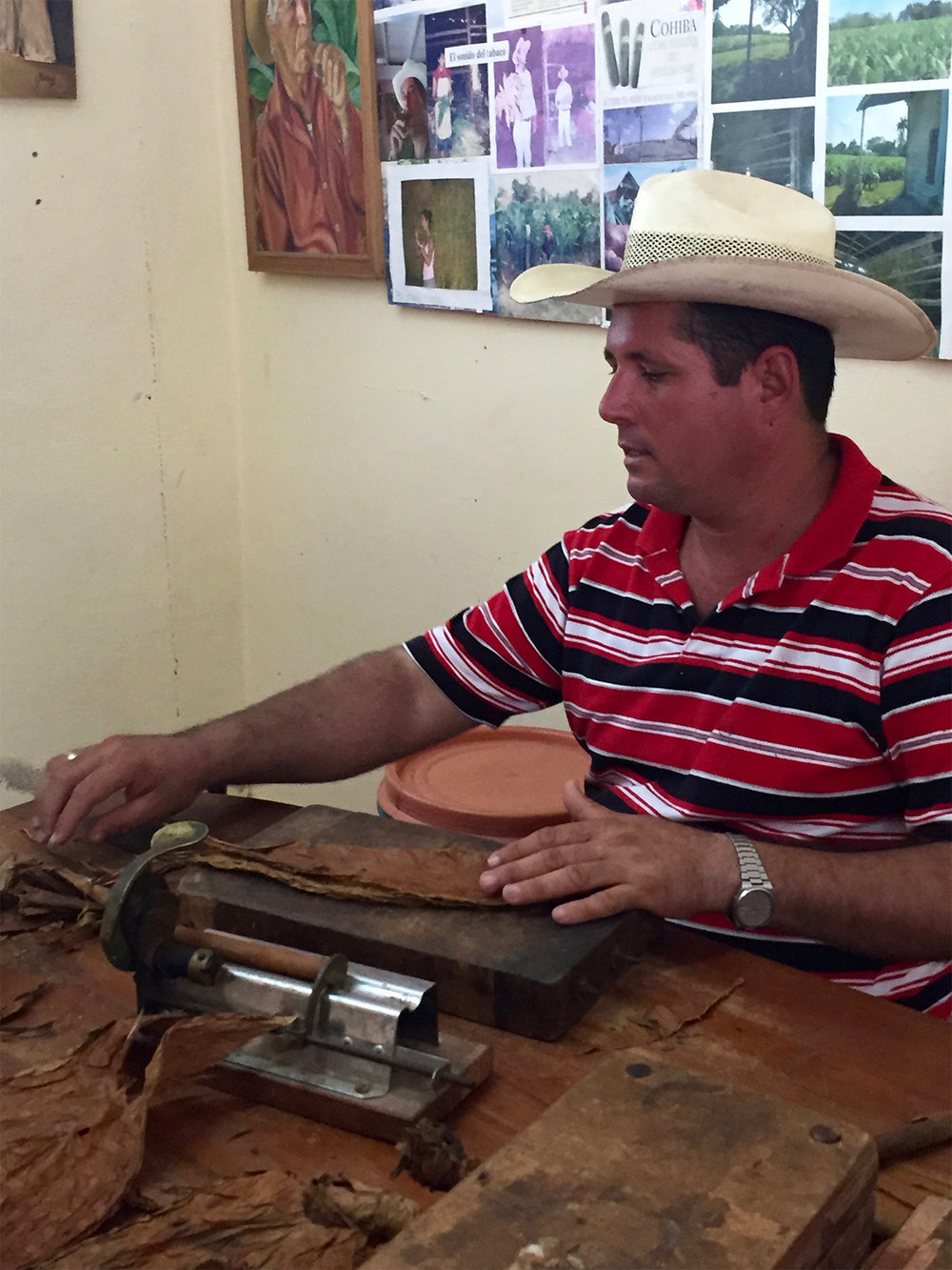 Vinales Cuba tobacco farmer travel.jpg