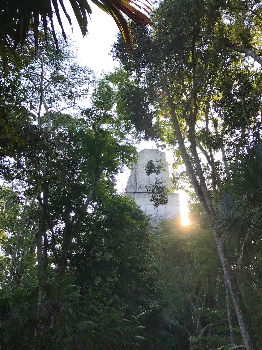 temple through the trees in Tikal National Park, Guatemala
