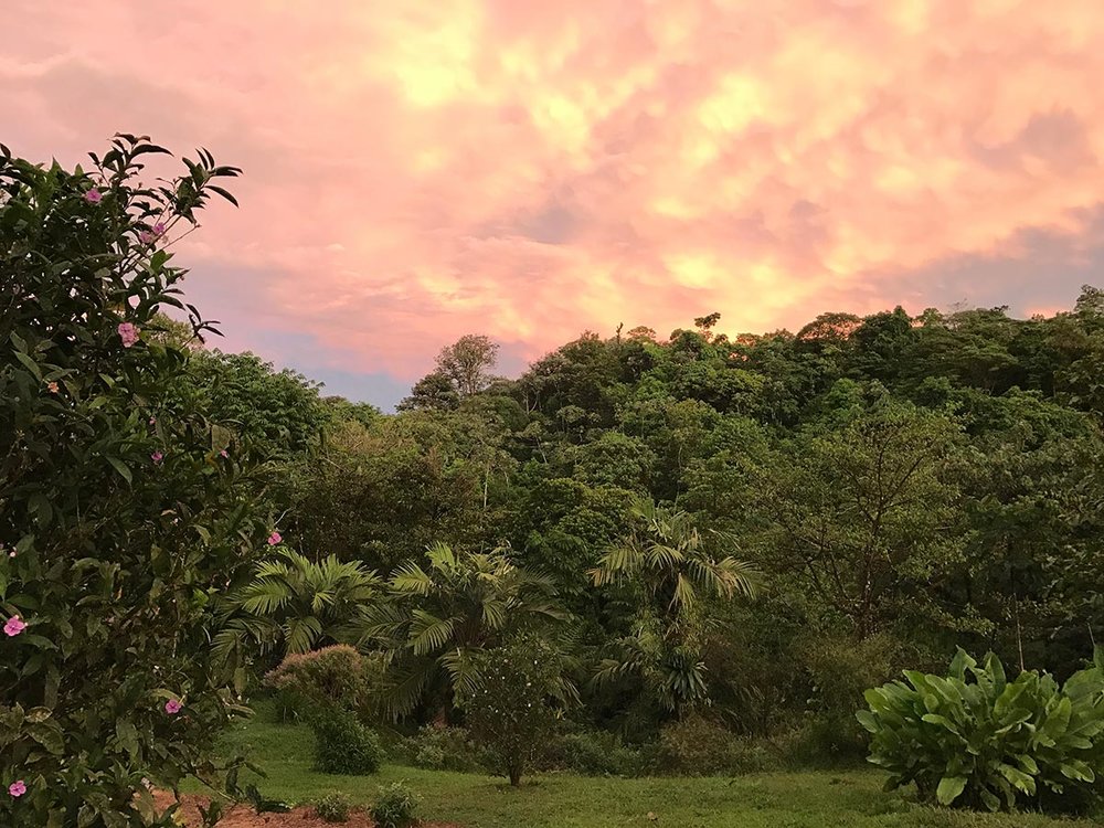 Sapphire &amp; Elm Travel co-founder,     Stephanie    , recently spent three weeks exploring Costa Rica.