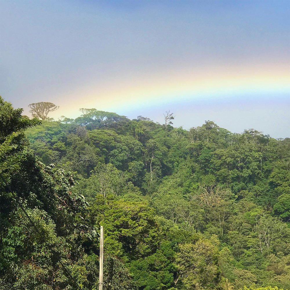 Monteverde-Cloud-Forest-Rainbow.jpg