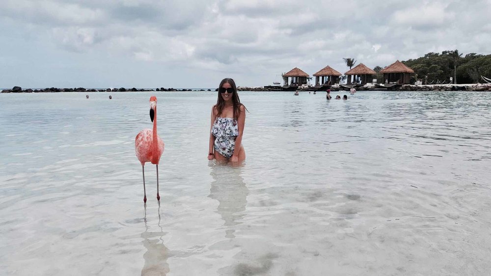 Flamingo Island Aruba .jpg