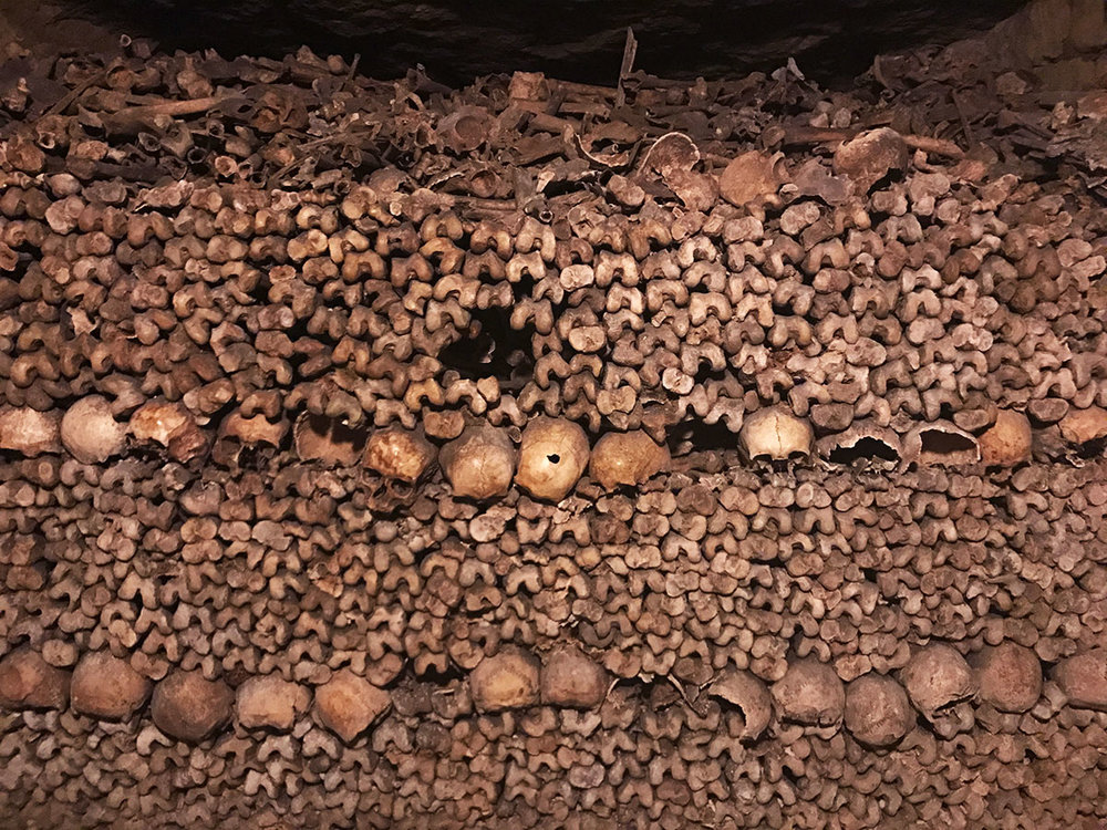 human skeletal remains in the Paris catacombs