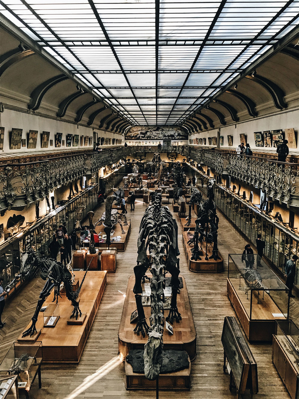 paris natural history museum | Paris Neighborhoods Explained