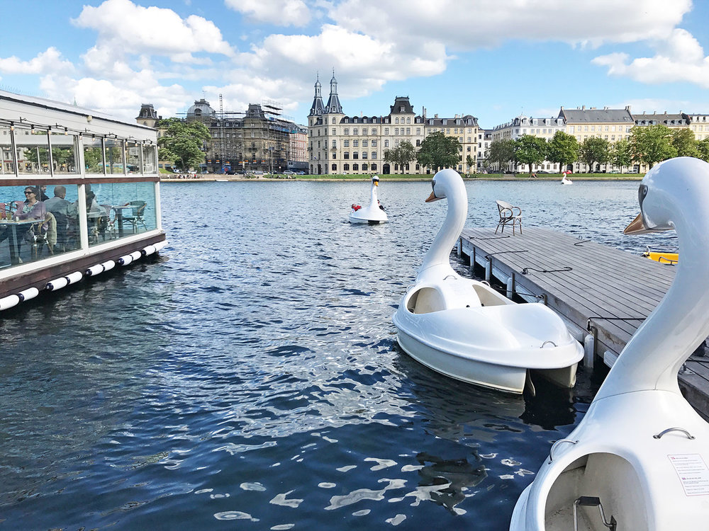 Dronning-Louises-bridge-swan-boats-Copenhagen.jpg