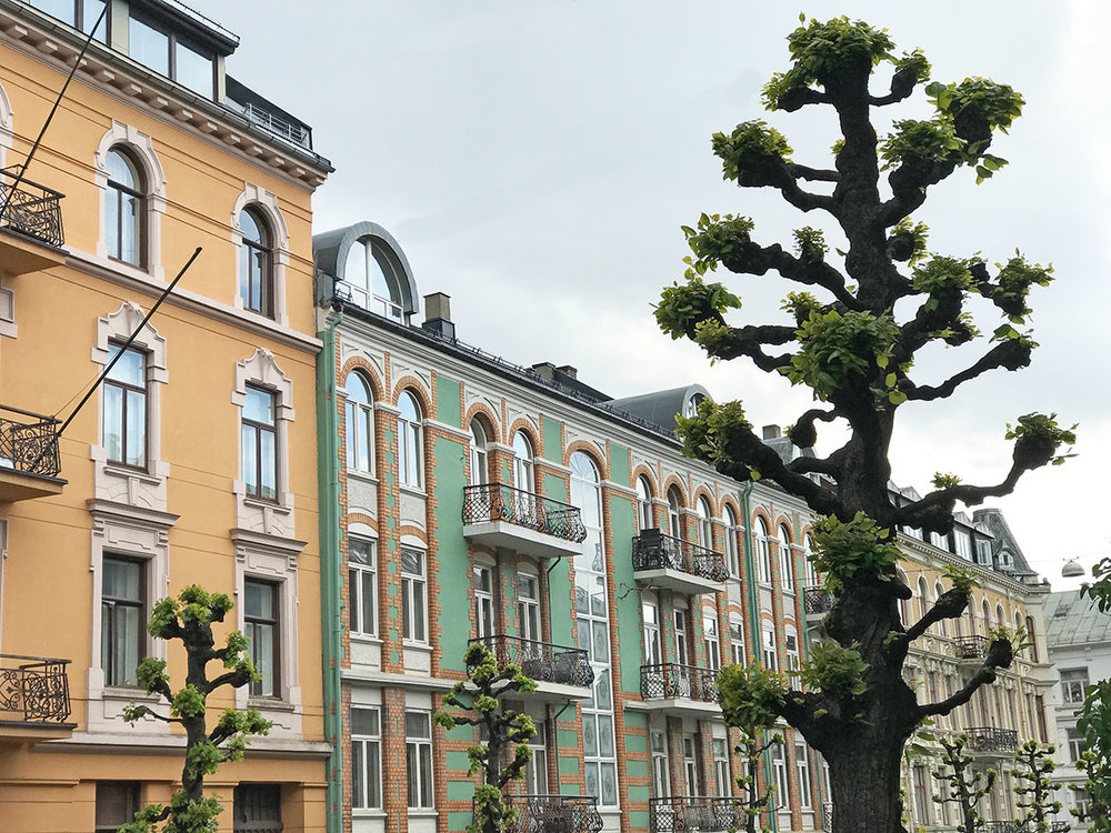 Oslo-homes-and-tree.jpg