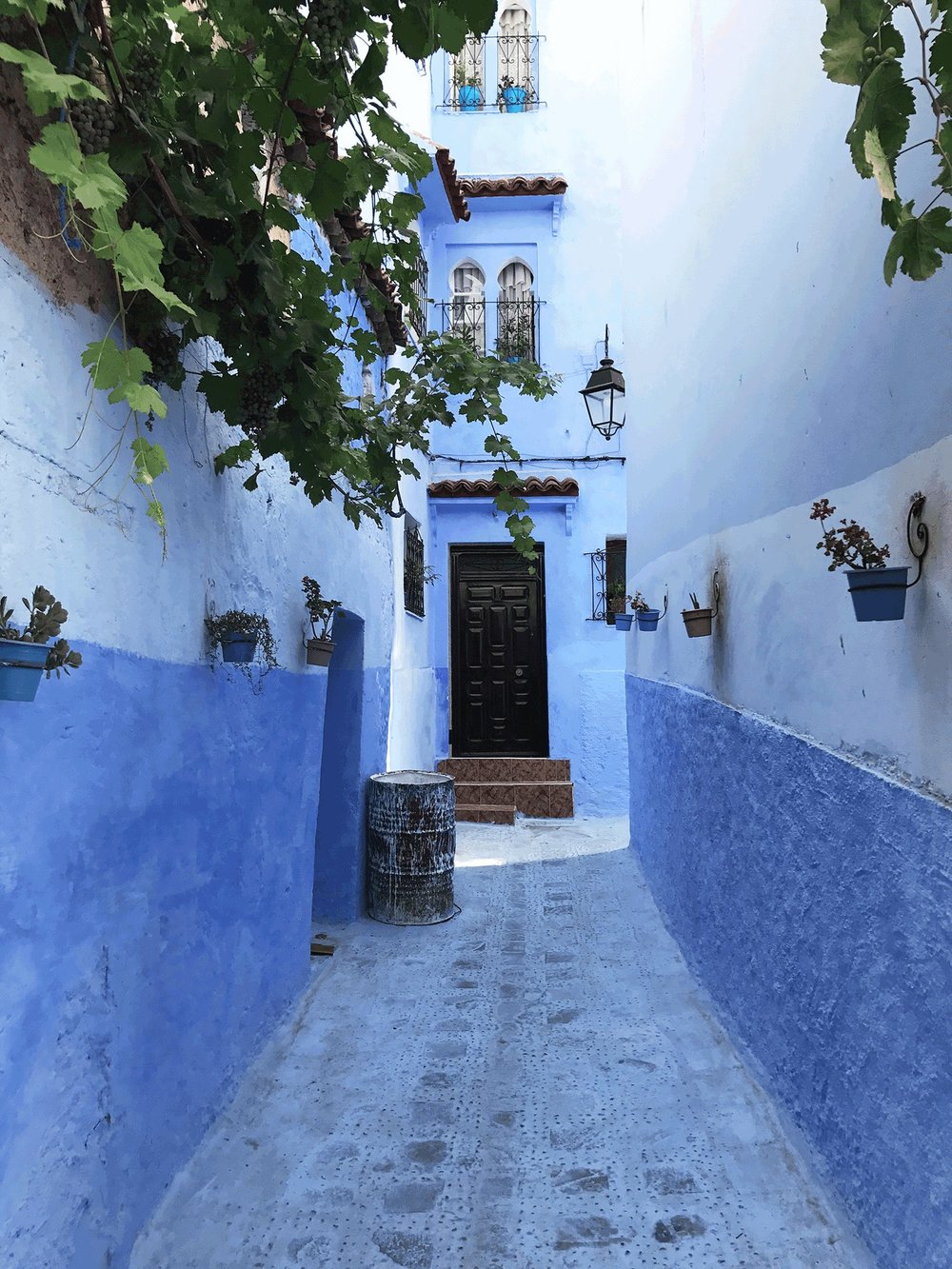 Chefchaouen | The Blue City Morocco