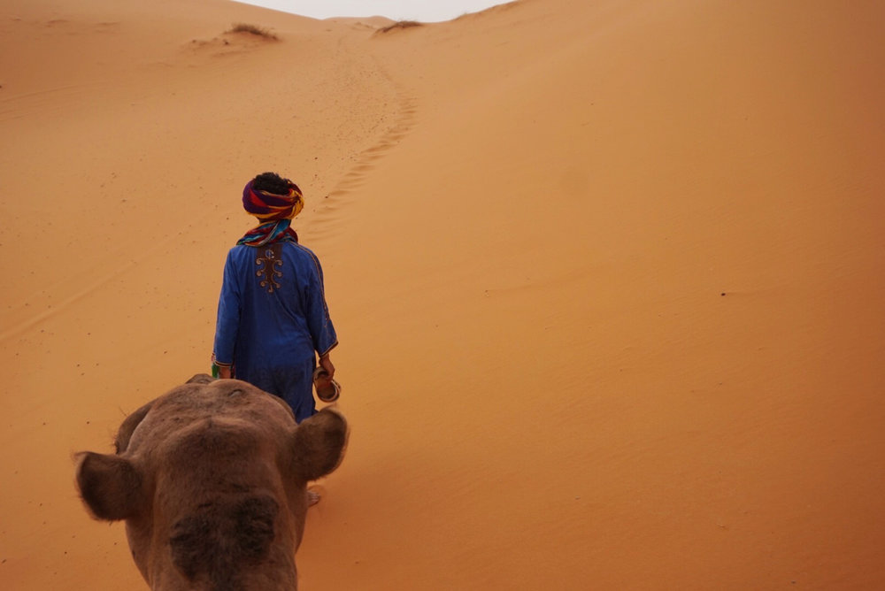 Camel trek into the Sahara Desert