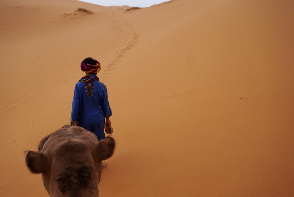 Sahara Desert Morocco camel trek | Photos of Morocco