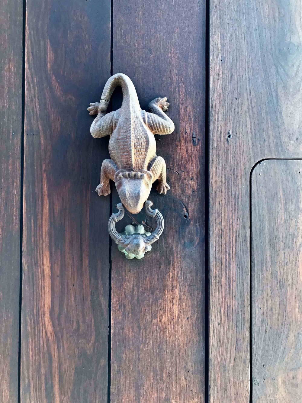 Iguana door knocker | Doors and Door Knockers of Cartagena, Colombia | pictures of Cartagena, Colombia