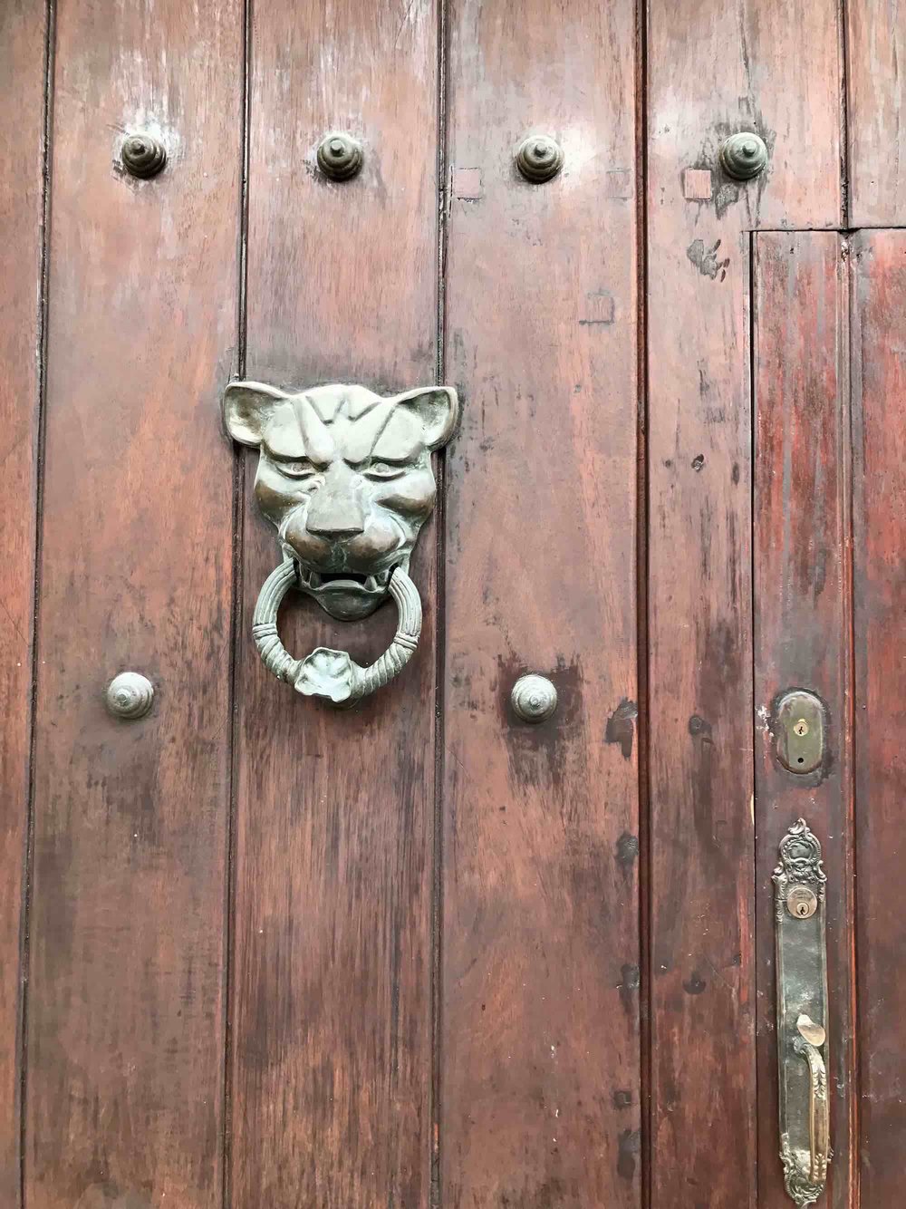 Lion door knocker | Doors and Door Knockers of Cartagena, Colombia | pictures of Cartagena, Colombia