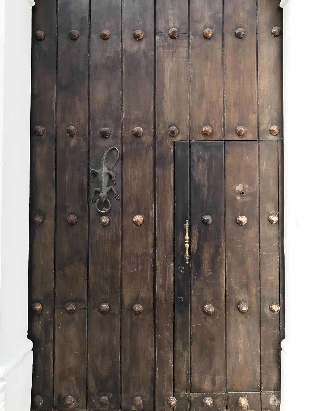 Lizard door knocker | Doors and Door Knockers of Cartagena, Colombia | pictures of Cartagena, Colombia
