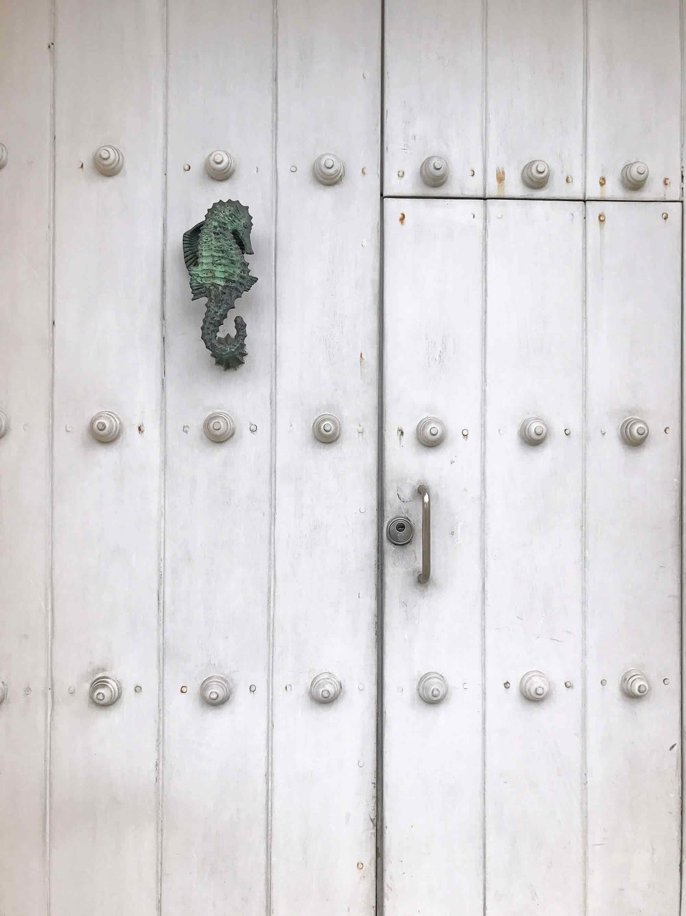 Seahorse door knocker | Doors and Door Knockers of Cartagena, Colombia | pictures of Cartagena, Colombia