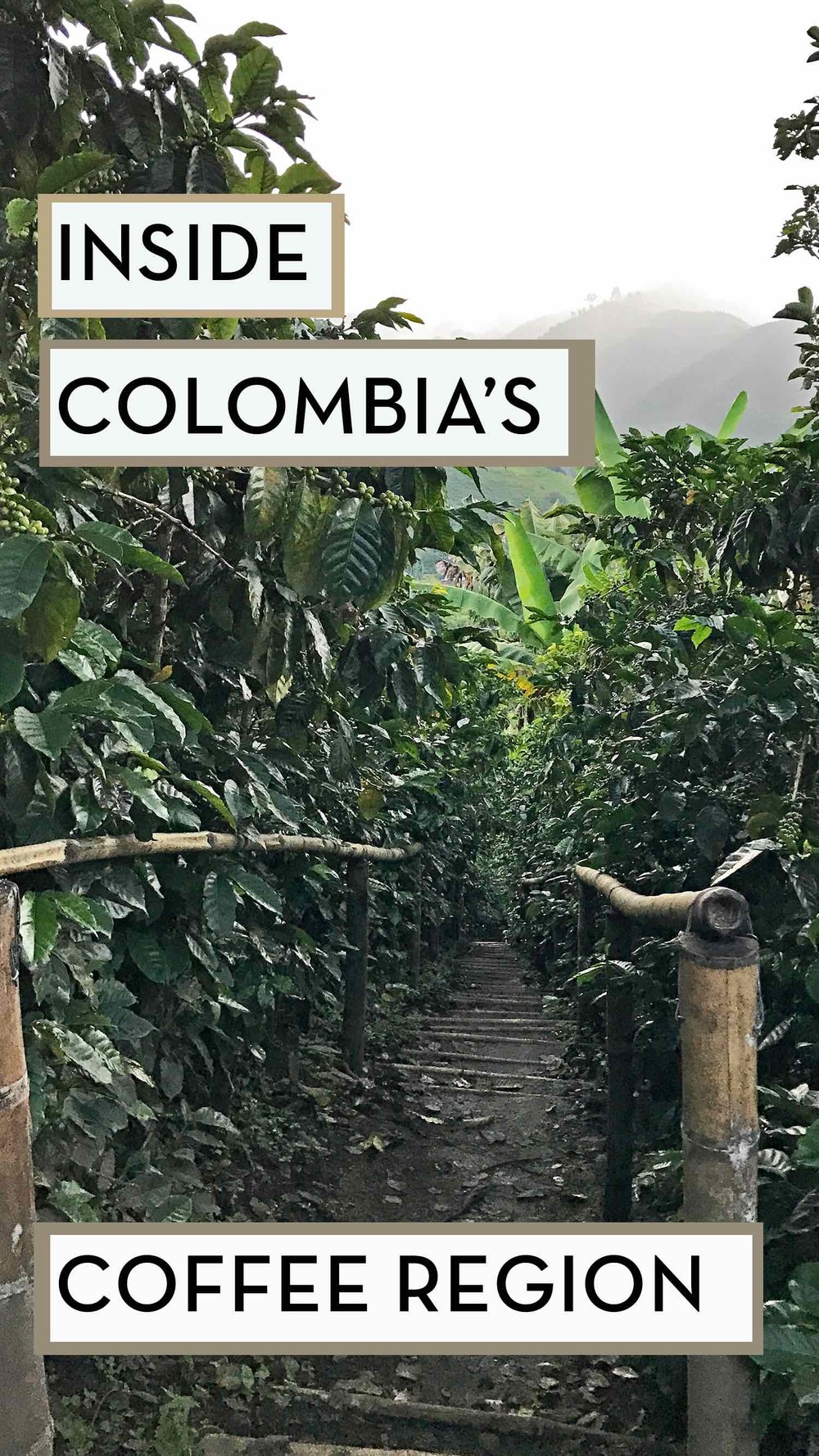 Inside Colombia's Rich Coffee Region