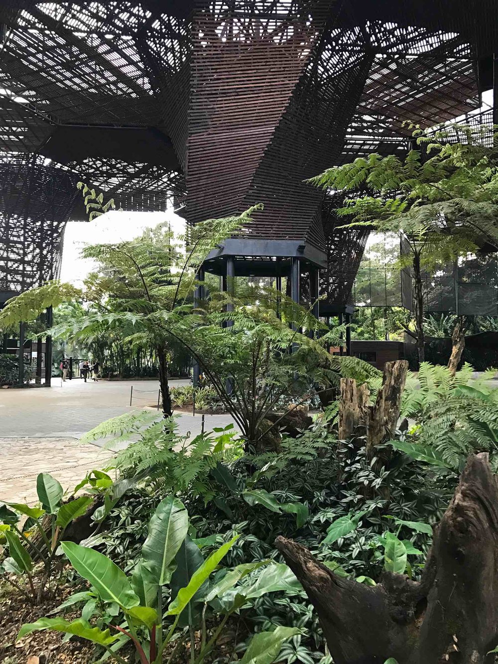 Medellin Colombia Botanical Garden