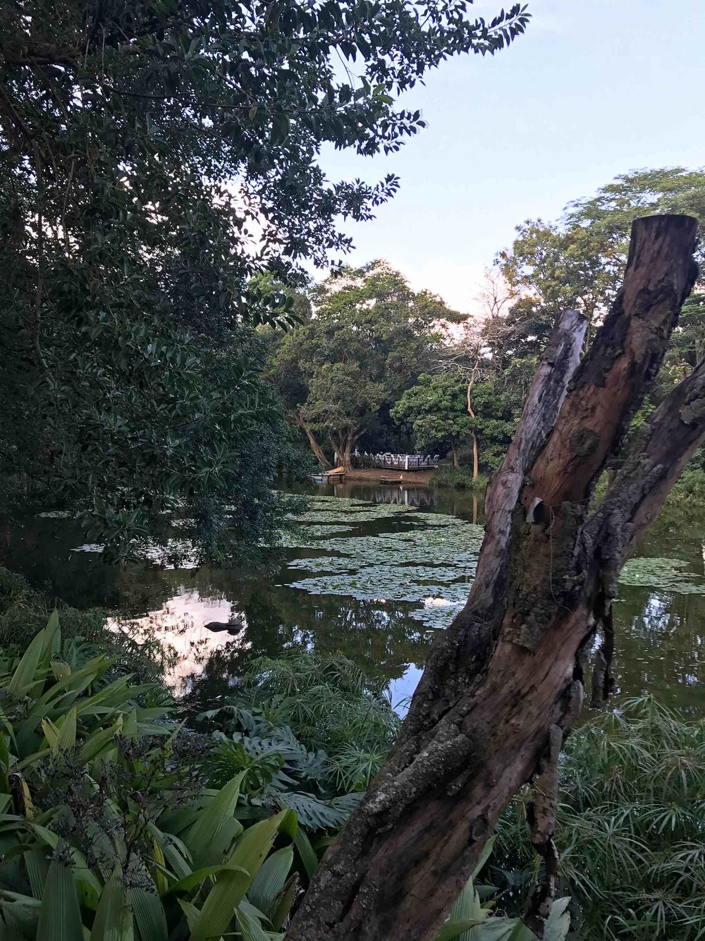 Medellin Colombia Botanical Garden