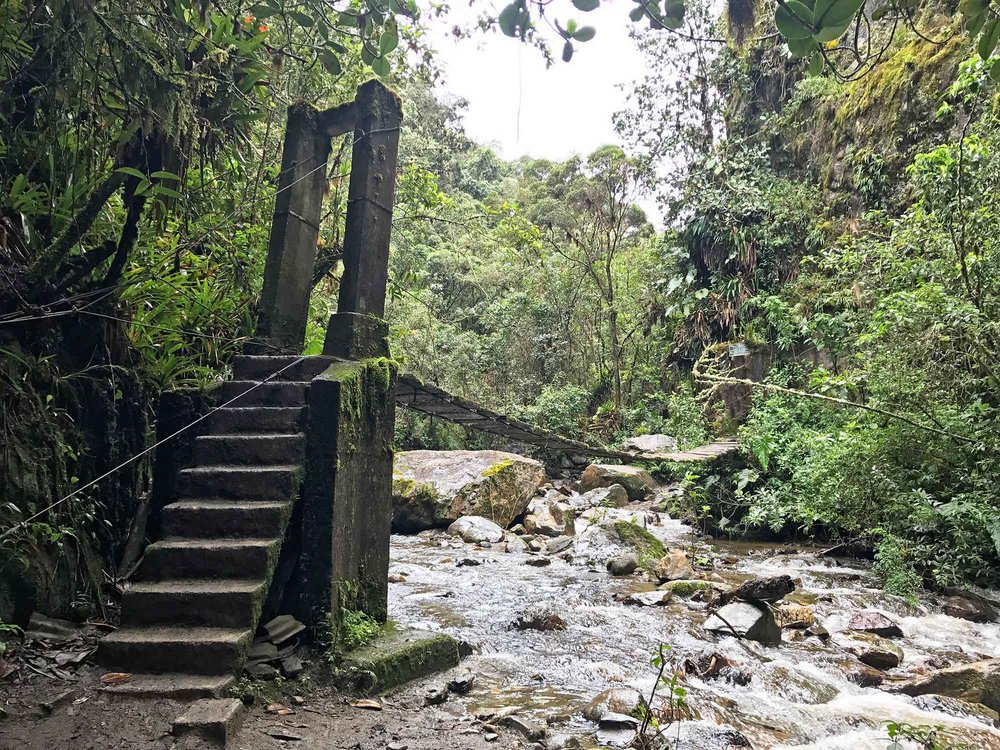 Bridge | Hiking Cocora Valley, Colombia
