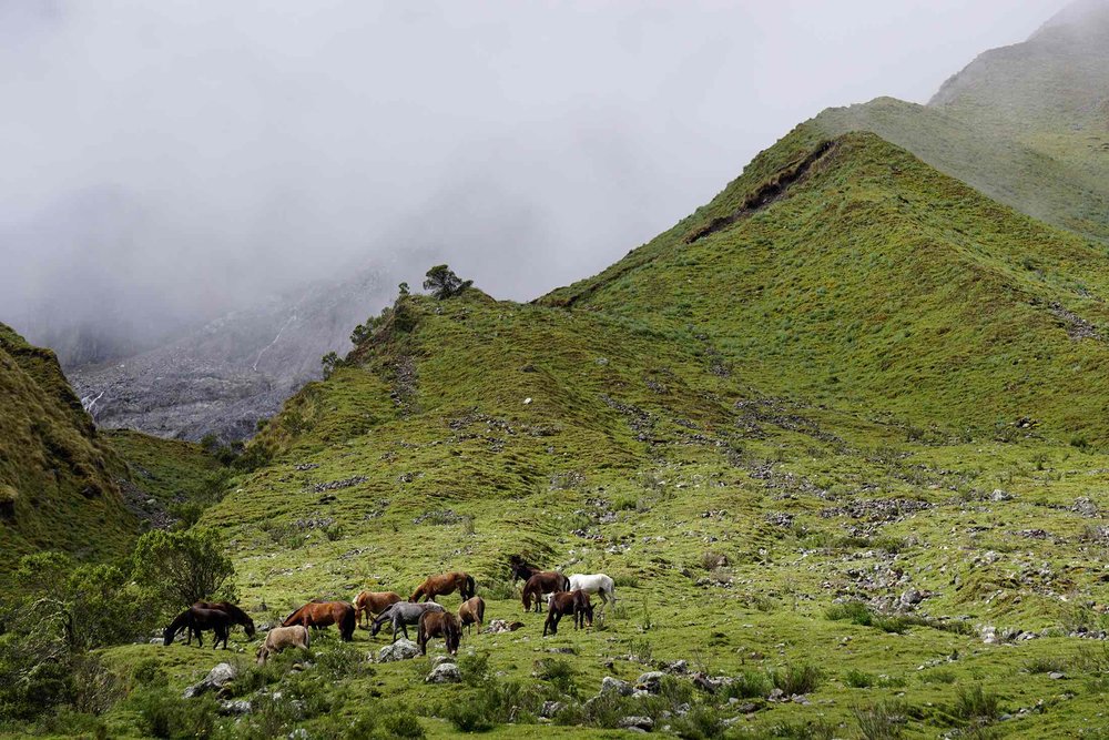 En route to Humantay Lake | Salkantay Trek to Machu Picchu Peru