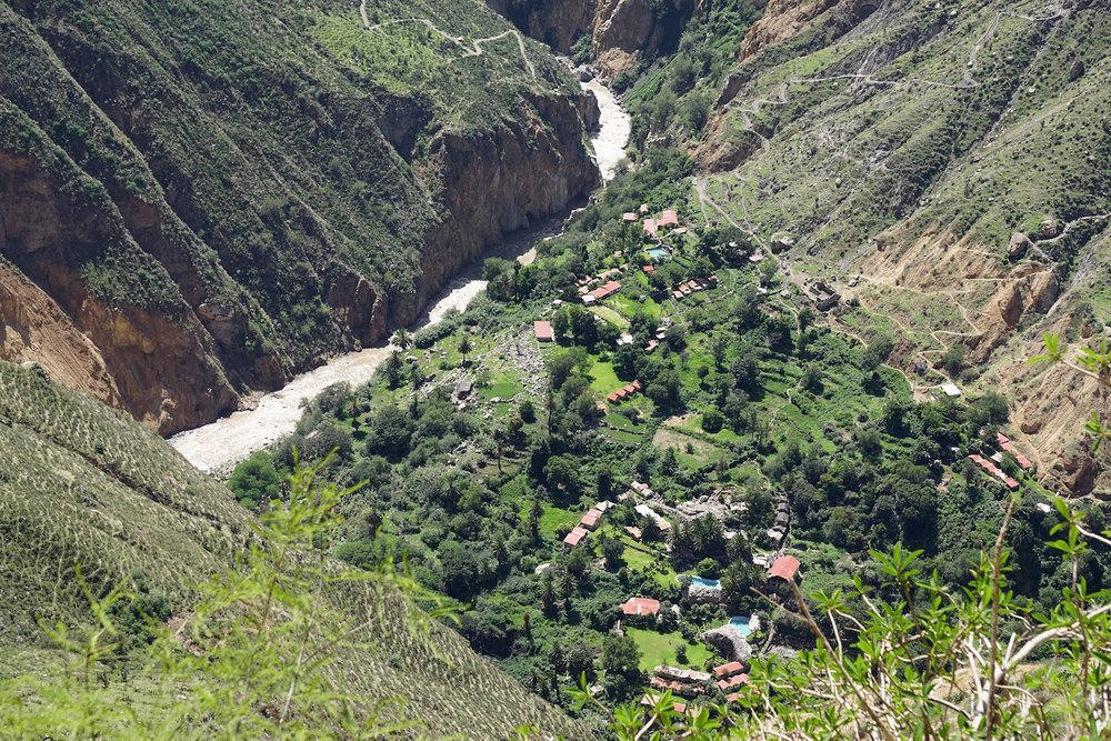 Colca Canyon Peru Sangalle oasis