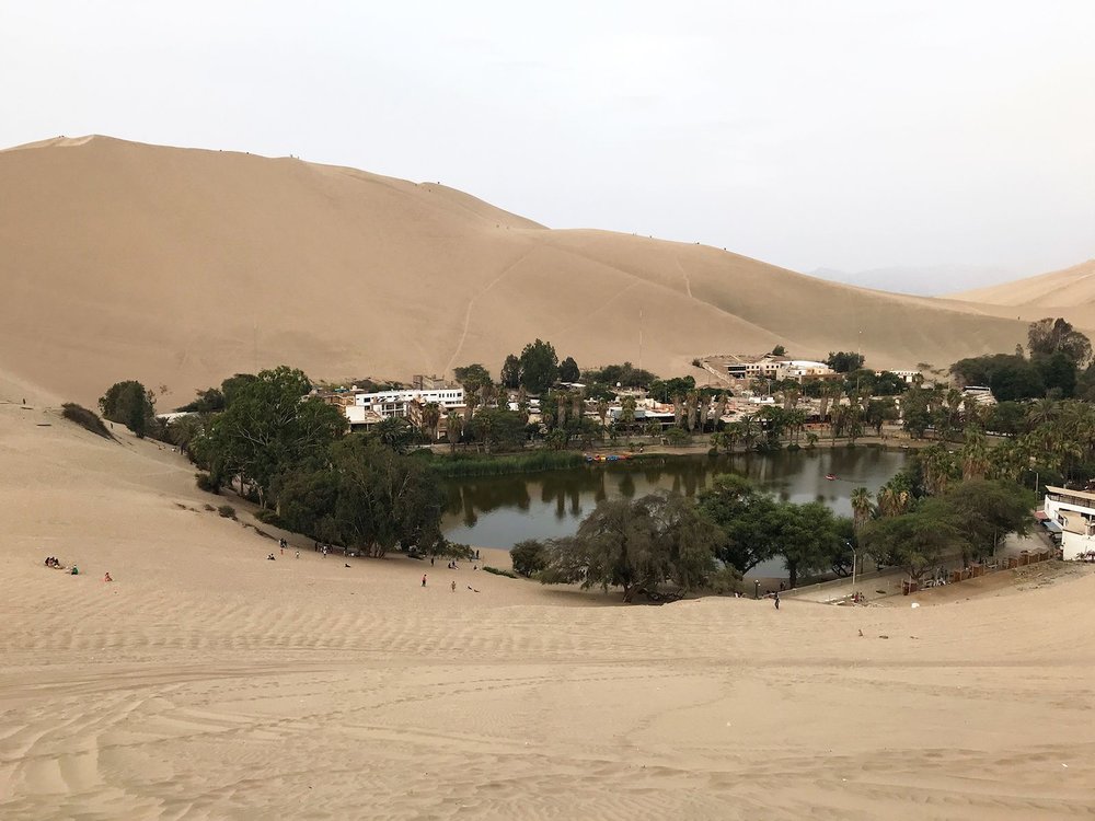 Peru oasis
