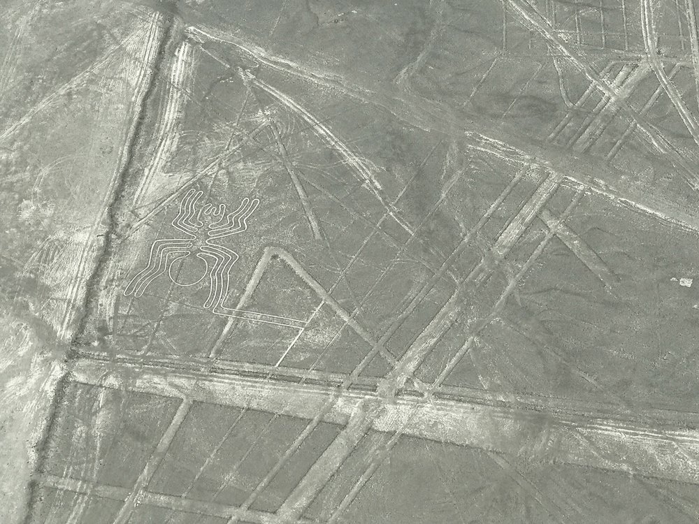 Nazca Lines | Ancient drawing of a spider in Peru
