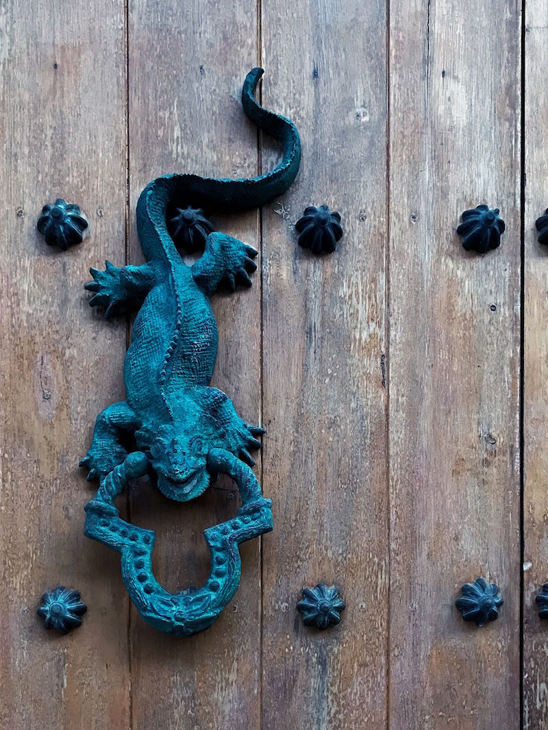Iguana door knocker | Doors and Door Knockers of Cartagena, Colombia | pictures of Cartagena, Colombia