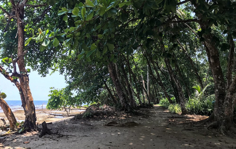beach path in Puerto Viejo Costa Rica