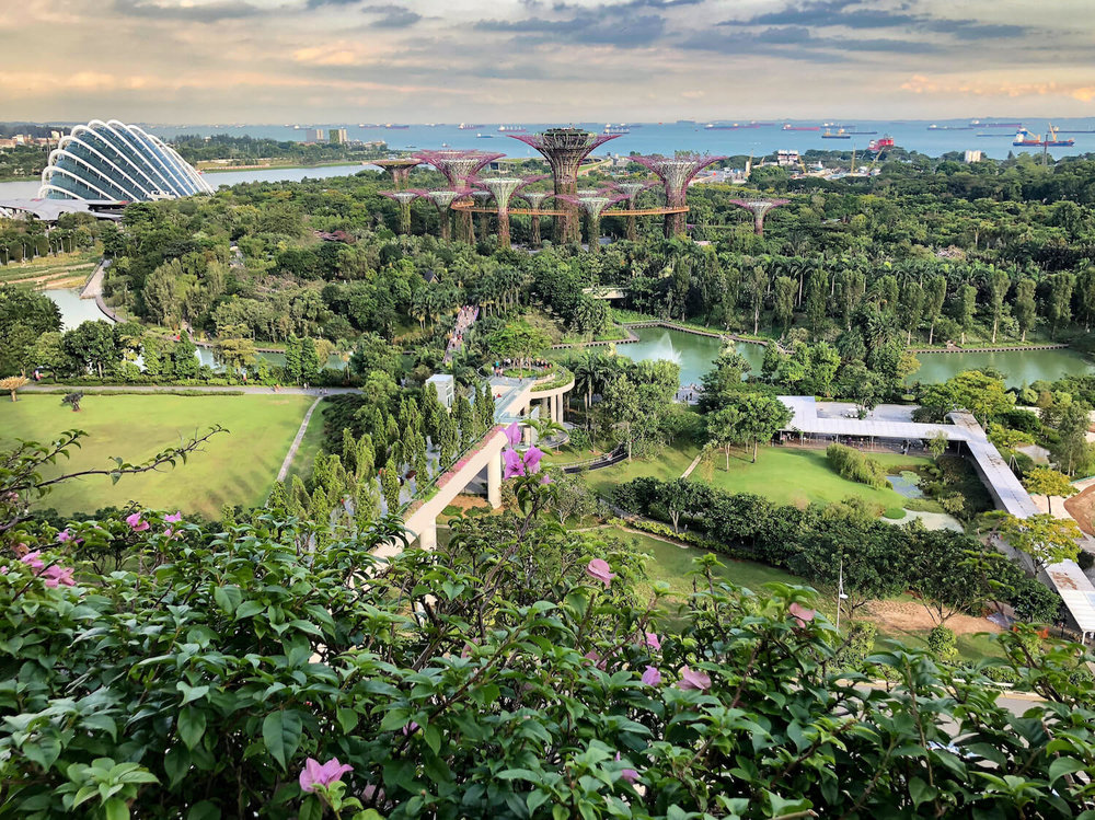 Garden by the Bay, Singapore | Warm Weather Destinations to Escape the Winter Cold