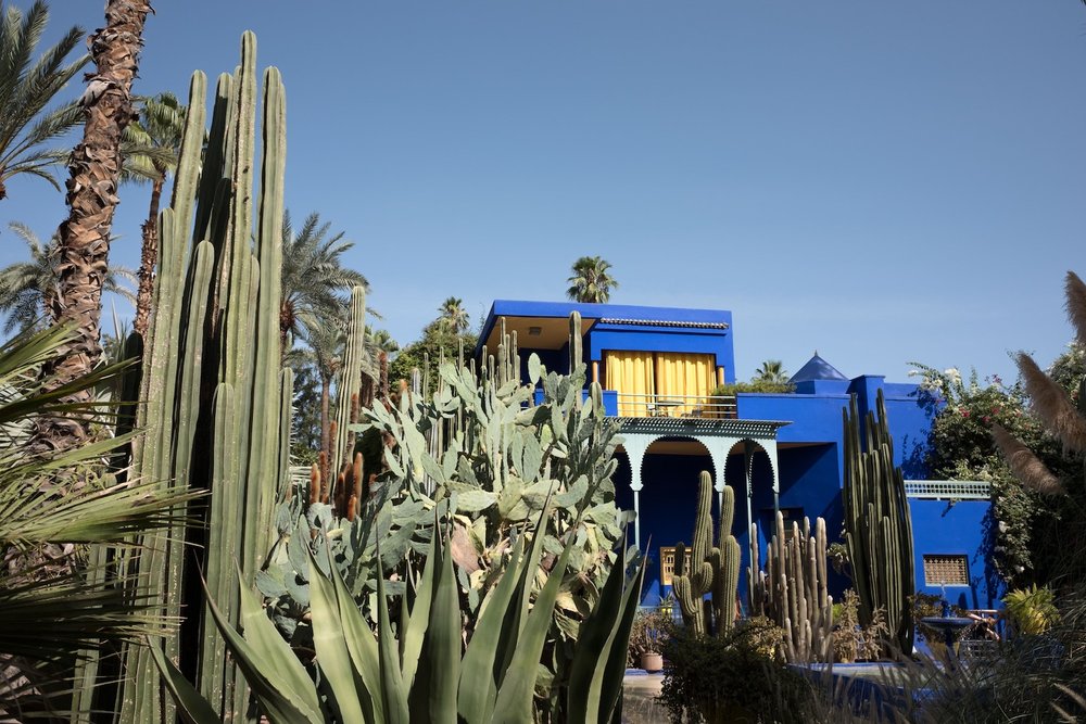 Marrakech Morocco Jardin Majorelle | Warm Weather Destinations to Escape the Winter Cold