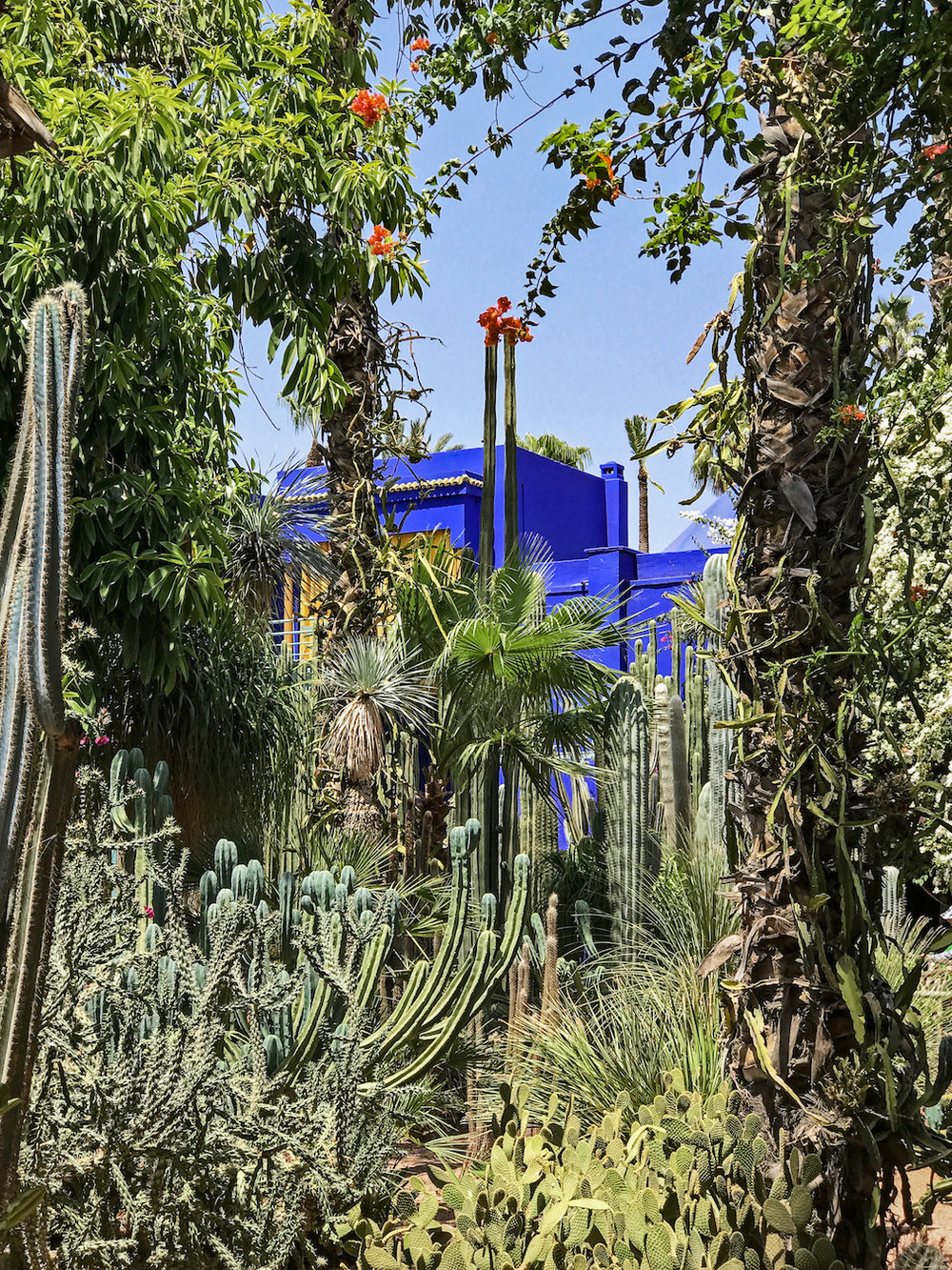 Jardin Majorelle | The City that Inspired Fashion Icon, Yves Saint-Laurent Most